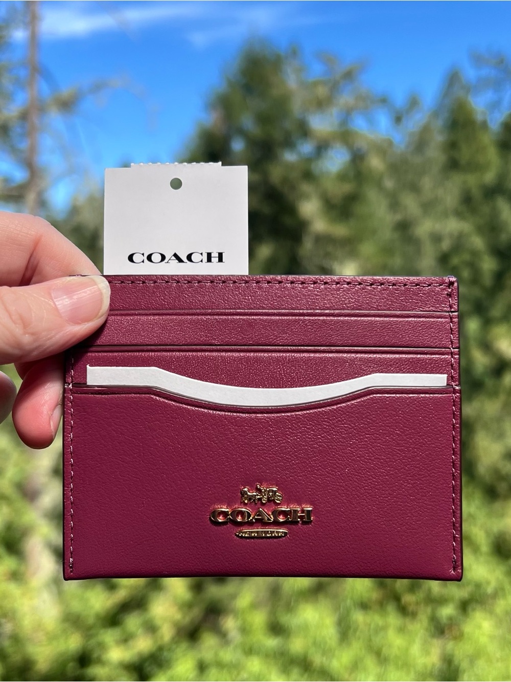 NWT! COACH Slim Id Card Case Pink Calf Leather Gold Hardware AUTHENTIC CAA88